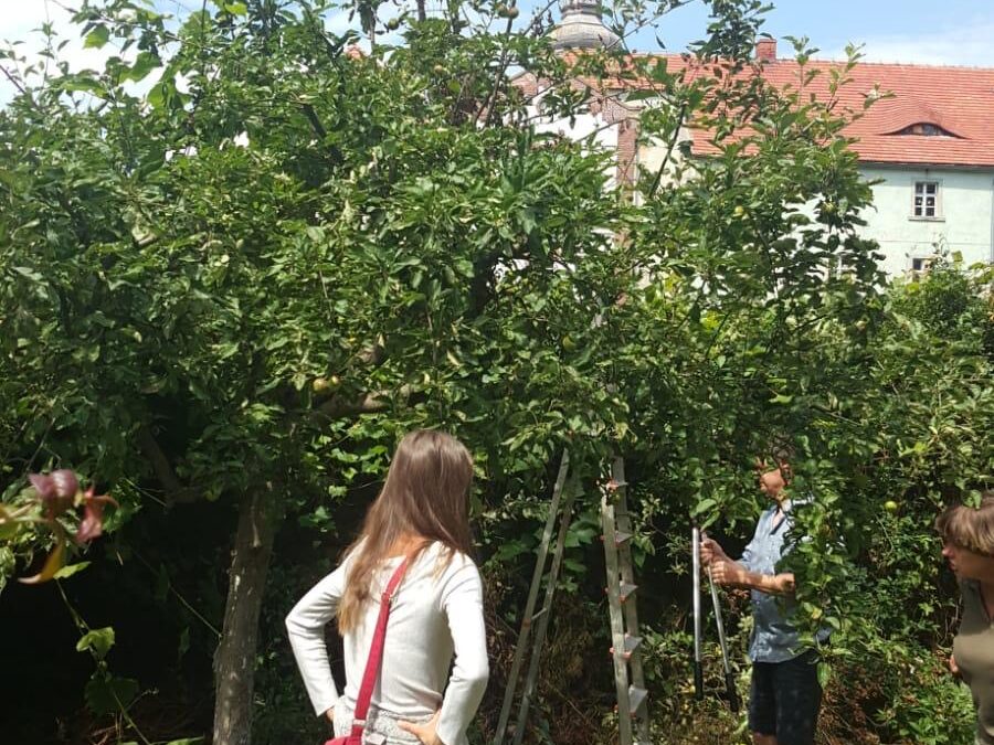 Udział w szkoleniach zorganizowanych przez Partnerstwo Izerskie