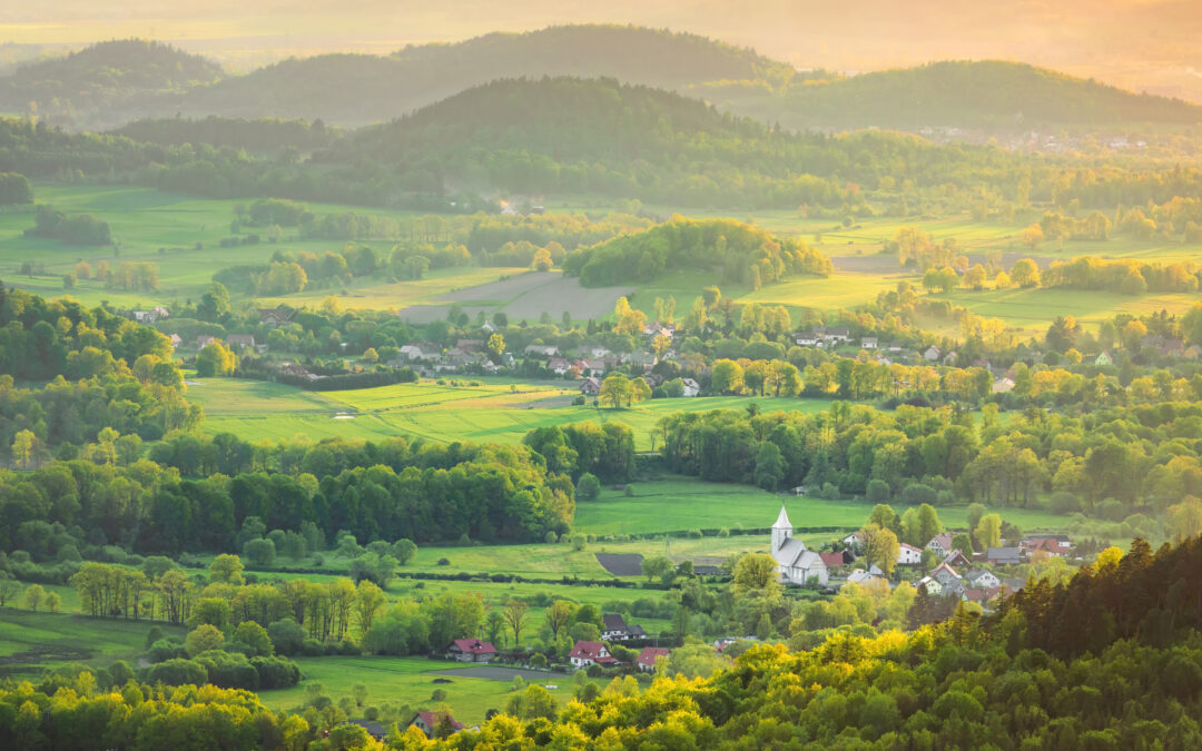 Badanie dotyczące relacji na pograniczu polsko-niemieckim w okresie pandemii COVID-19