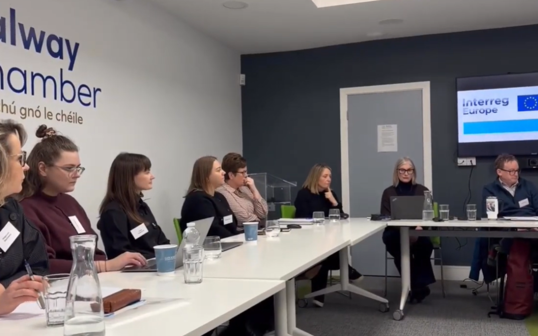 Wideo z wizyty studyjnej i spotkania partnerów projektu NITIES w Galway w Irlandii